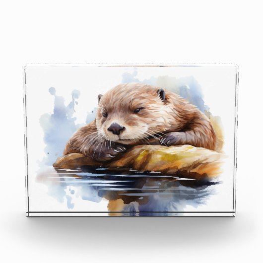 otter fotoblokken (Voorkant)