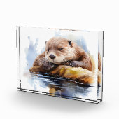 otter fotoblokken (Rechts)