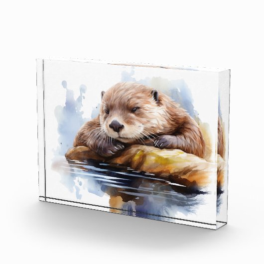 otter fotoblokken (Rechts)