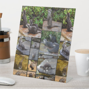 Otter Fotocollage,  Reclamebord Met Voetstuk