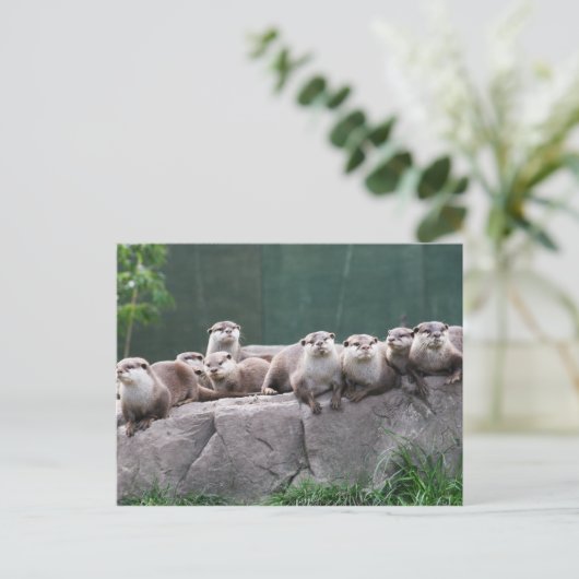 Otter-gezin Briefkaart (Staand voorkant)