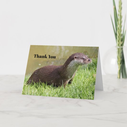 Otter Grass Wildlife Foto Bedankkaart (Voorkant)