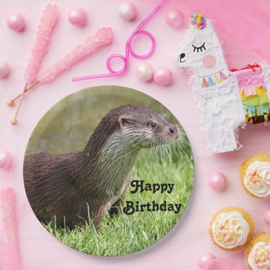 Otter Grass Wildlife Foto van Birthday Papieren Bordje (Feest)