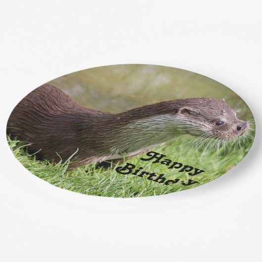 Otter Grass Wildlife Foto van Birthday Papieren Bordje (Gekanteld)