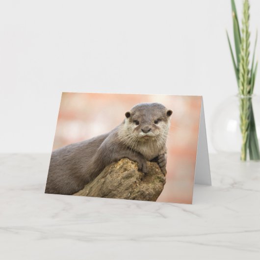 Otter Greetings Card Kaart (Voorkant)