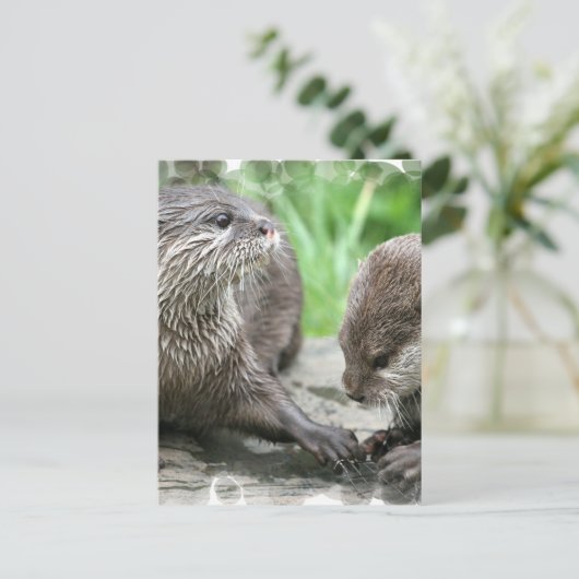 Otter Habitat-Briefkaarten Briefkaart (Staand voorkant)