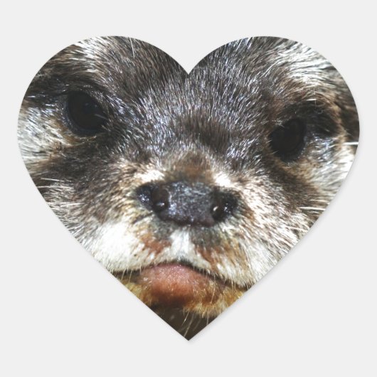 otter hart sticker (Voorkant)