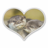Otter Heart Sticker (Voorkant)