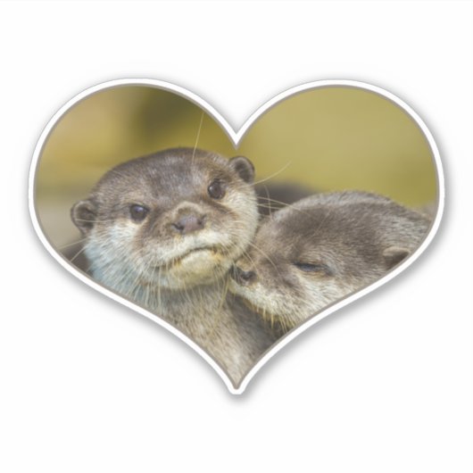 Otter Heart Sticker (Voorkant)