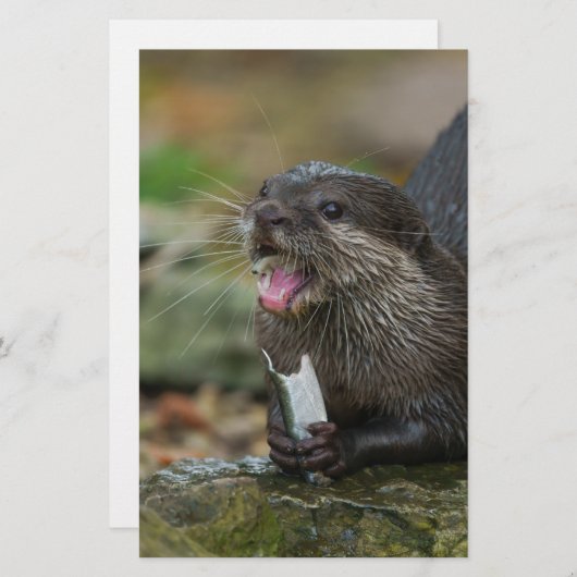 Otter heeft zijn vis briefpapier (Voorkant / Achterkant)