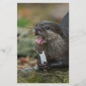 Otter heeft zijn vis briefpapier (Voorkant)
