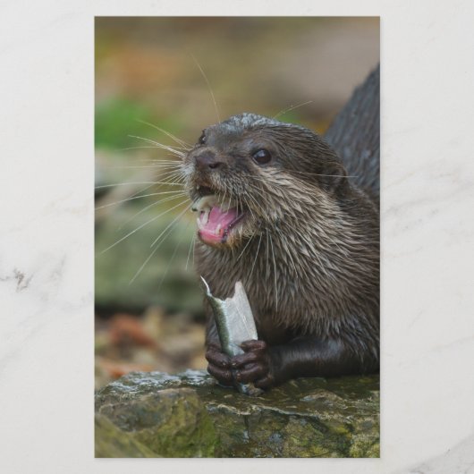Otter heeft zijn vis briefpapier (Voorkant)