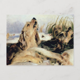Otter Hounds Briefkaart