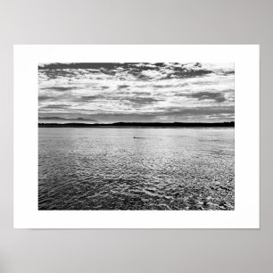Otter in de Afstand Zwart-wit Fotografie Poster