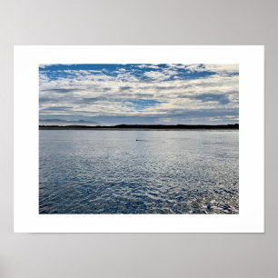 Otter in de verte Californië Kleurenfotografie Poster