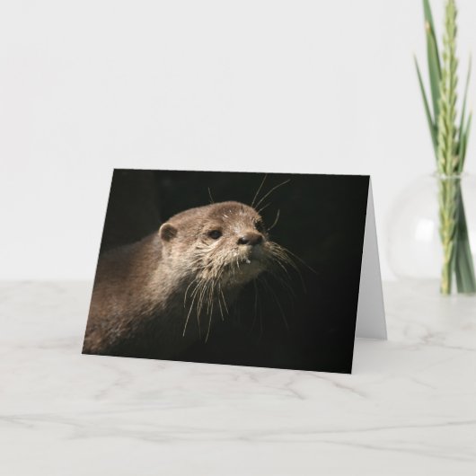 otter kaart (Voorkant)