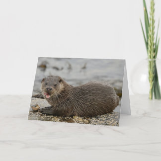 otter kaart