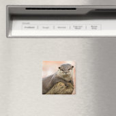 Otter Koelkast Magnet (Insitu (Vaatwasser))