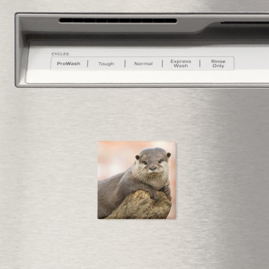 Otter Koelkast Magnet (Insitu (Vaatwasser))