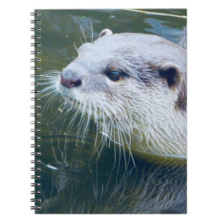 otter-laptop notitieboek