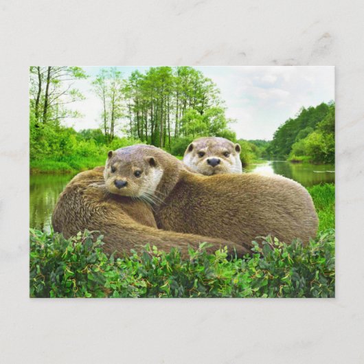"Otter Love" Briefkaart (Voorkant)