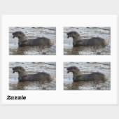 "Otter Lover" Wildlife Sticker Gifts (Vel)