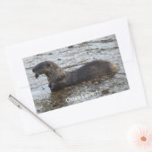 "Otter Lover" Wildlife Sticker Gifts (Envelop)