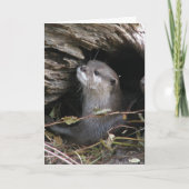 Otter-ly heerlijk kaart (Voorkant)