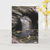 Otter-ly heerlijk kaart (Gele Bloem)