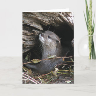Otter-ly heerlijk kaart