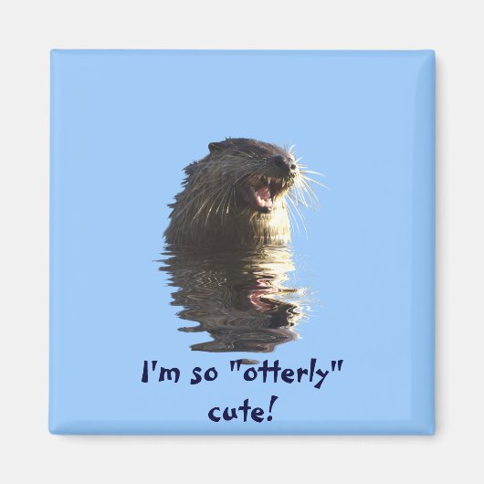 OTTER Magneet (Voorkant)