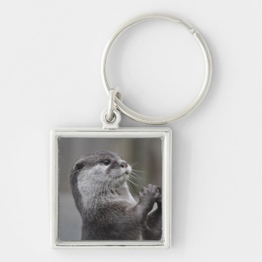 Otter Masterminal sleutelhanger (Voorkant)