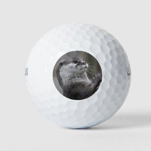 Otter Mastermind Golfballen (Voorkant)
