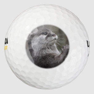 Otter Mastermind Golfballen
