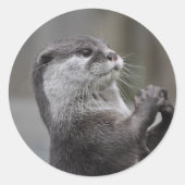 Otter Mastermind Sticker (Voorkant)