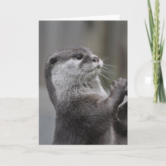 Otter Mastermind Wenskaart Kaart (Voorkant)