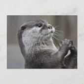 Otter MastermineBriefkaart Briefkaart (Voorkant)