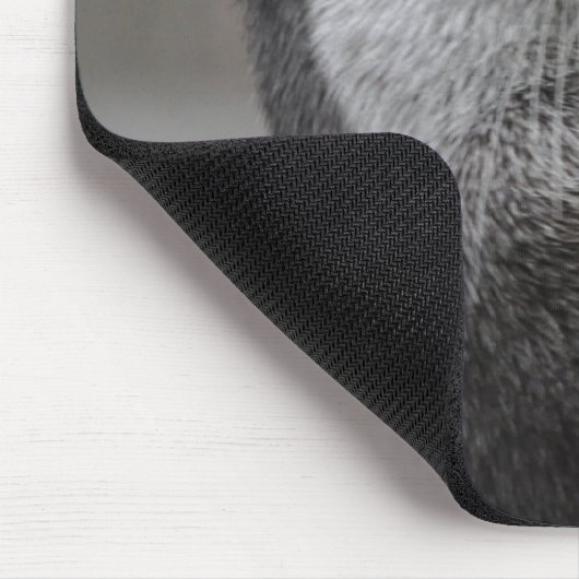 Otter MastermineMuismat Muismat (Hoek)