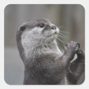 Otter Masterminestickers Vierkante Sticker