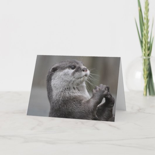 Otter MastermineWenskaart Kaart (Voorkant)
