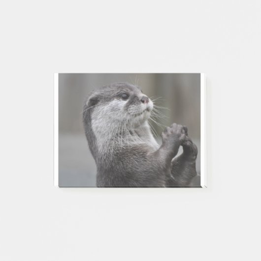 Otter Mastermingem Post-it® Notes (Voorkant)