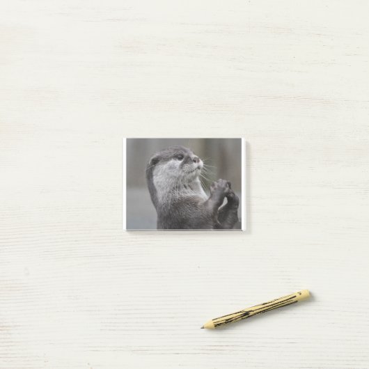 Otter Mastermingem Post-it® Notes (Op bureau)