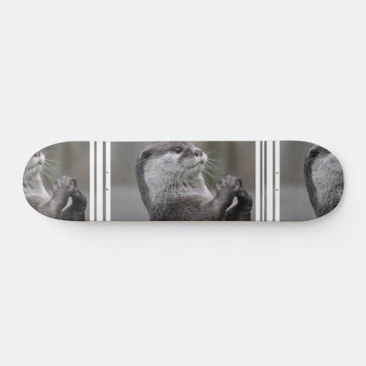 Otter Masterminskateboard Skateboard (Horizontaal)