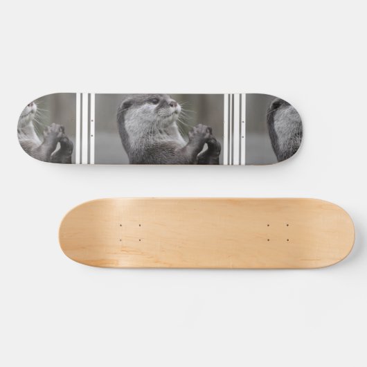 Otter Masterminskateboard Skateboard (Horizontaal)