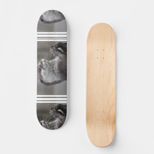 Otter Masterminskateboard Skateboard (Voorkant)