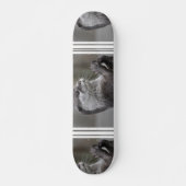 Otter Masterminskateboard Skateboard (Voorkant)