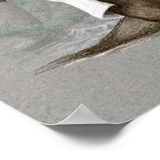 Otter Medicine - Afdruk of Poster (Hoek)