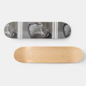 Otter Meesterbrein Skateboard (Horizontaal)
