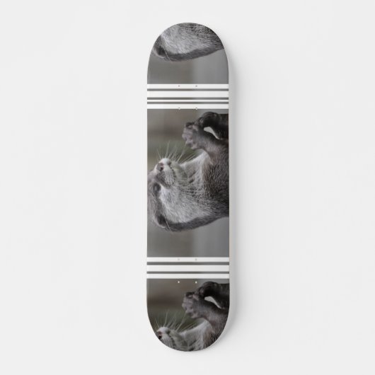 Otter Meesterbrein Skateboard (Voorkant)