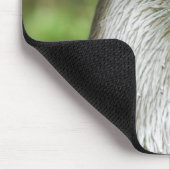 otter muismat (Hoek)